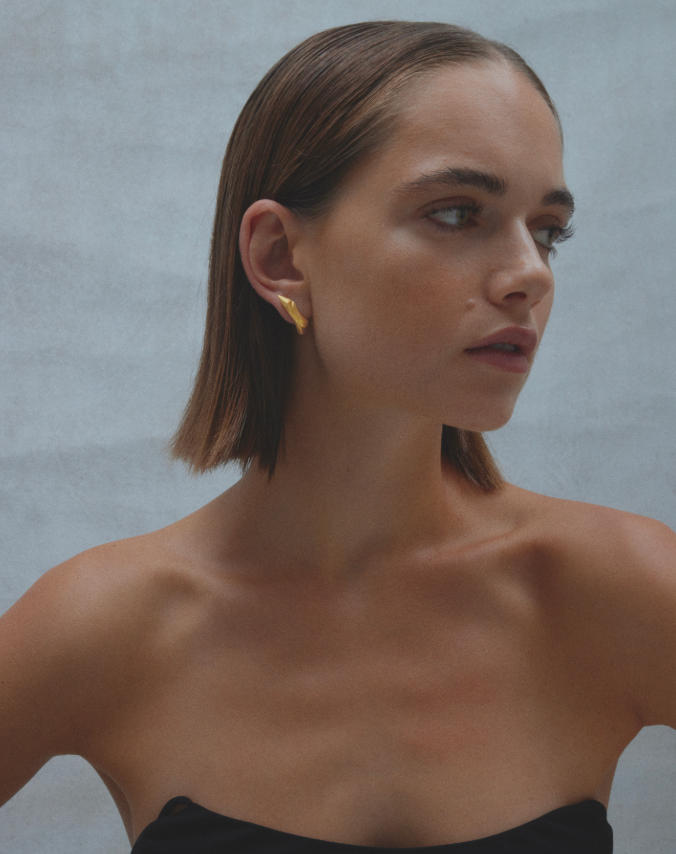 Sculptural Climber Earrings